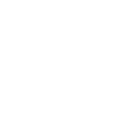 white plus x logo